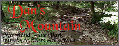 Dan's Mountain Club Logo